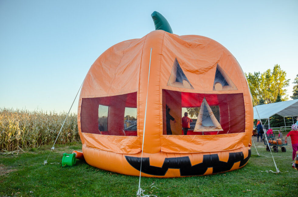 Attractions Shawn's Pumpkin Patch