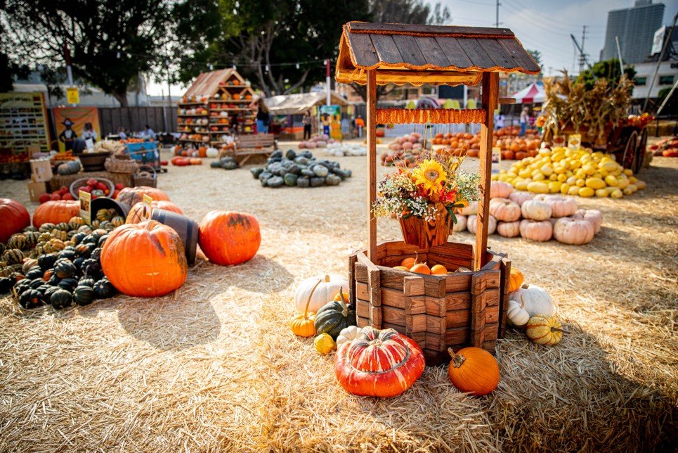 Shawn's Pumpkin Patch (Culver City) at Shawn's Pumpkin Patch